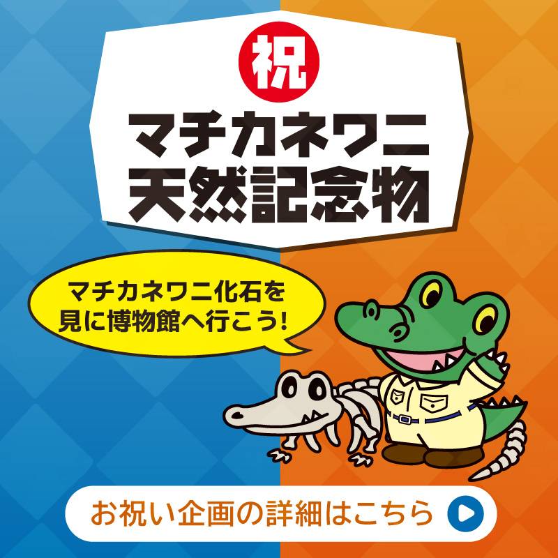 マチカネワニ天然記念物
